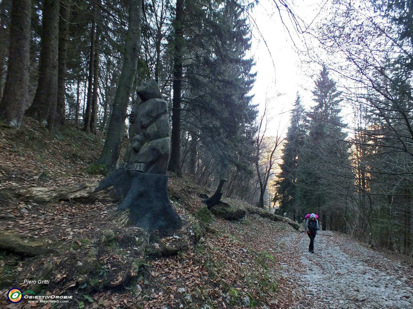 17 Siamo nel 'Bosco degli Gnomi'.JPG